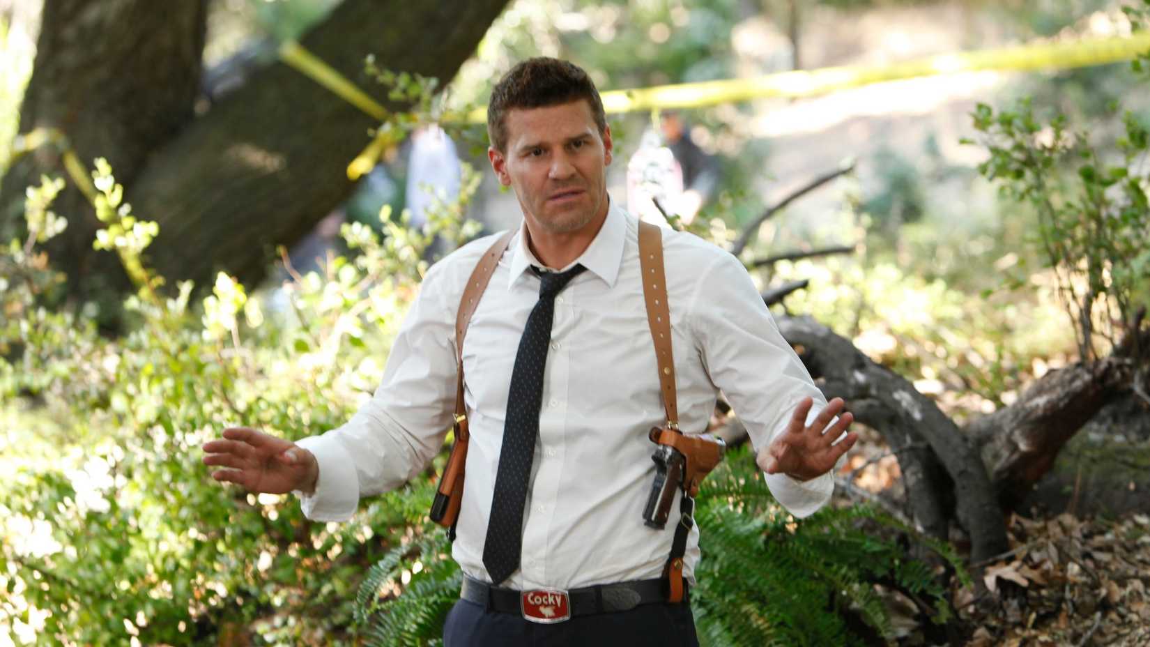 David Boreanaz as Seeley Booth in Bones
