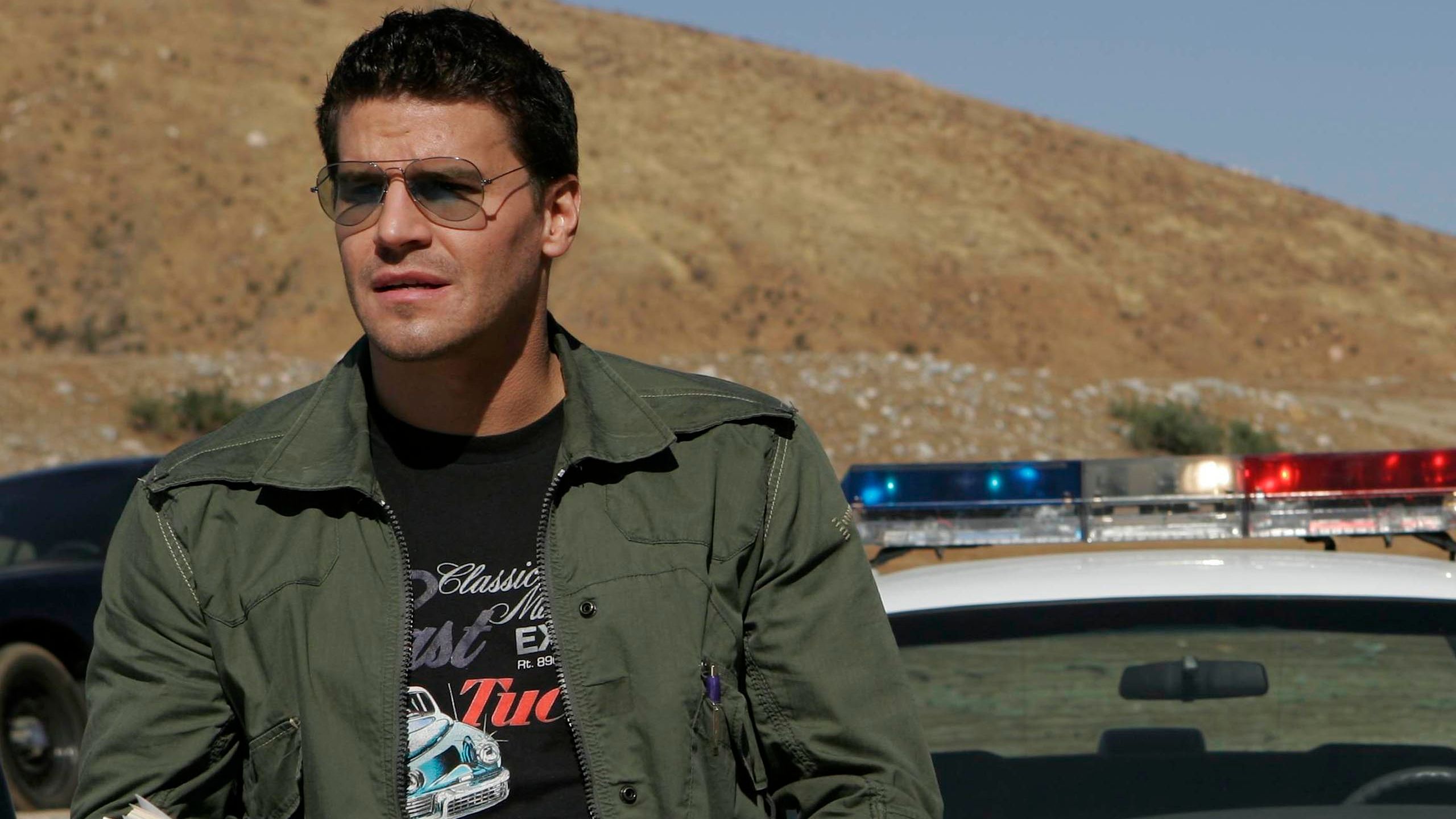 The One TV Show David Boreanaz Would Revisit Deserves A Revival image