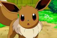 Eevee looking shocked