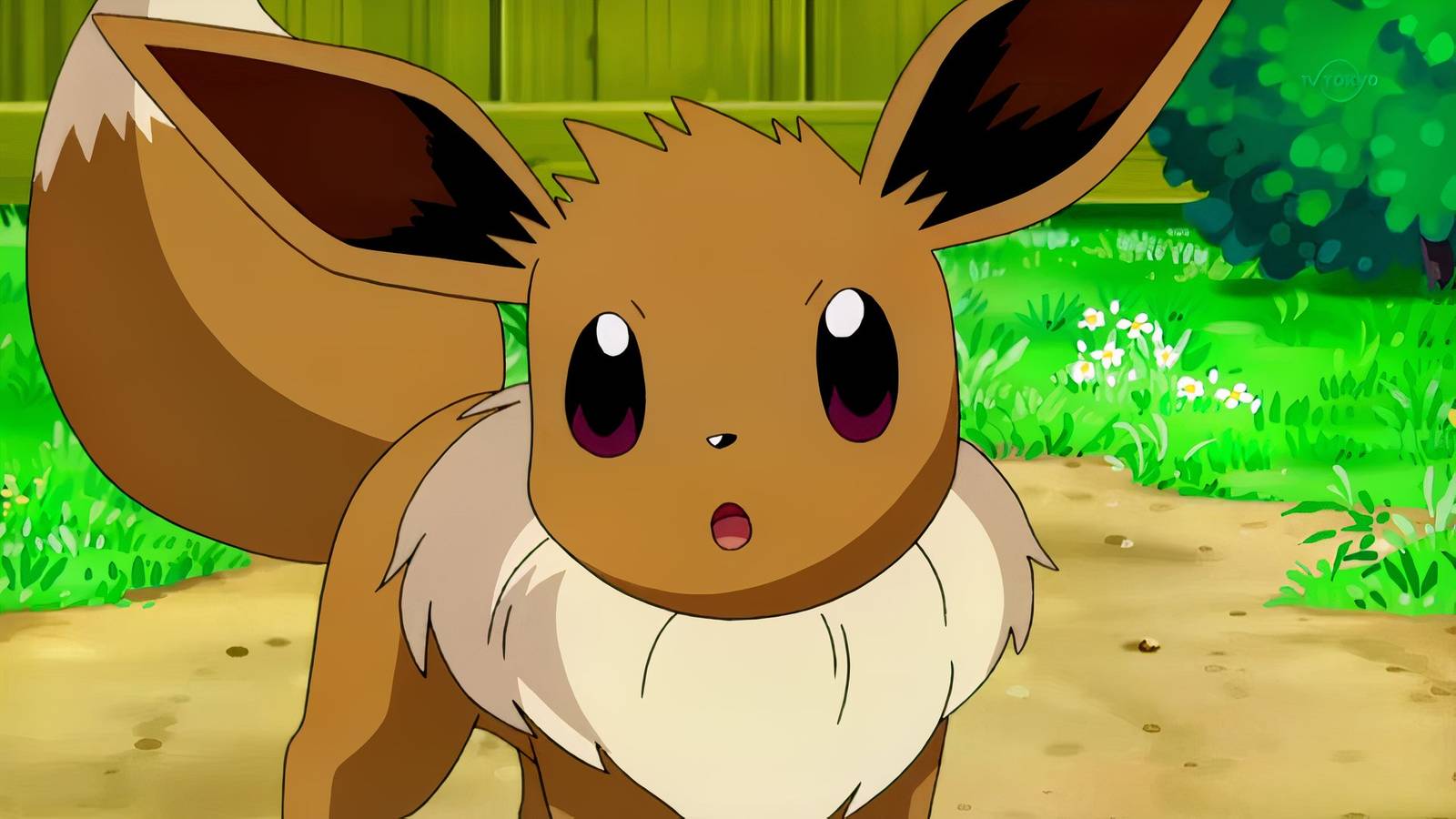 Pokémon Winds & Waves Flying-Type Eevee Wins Over Gamers