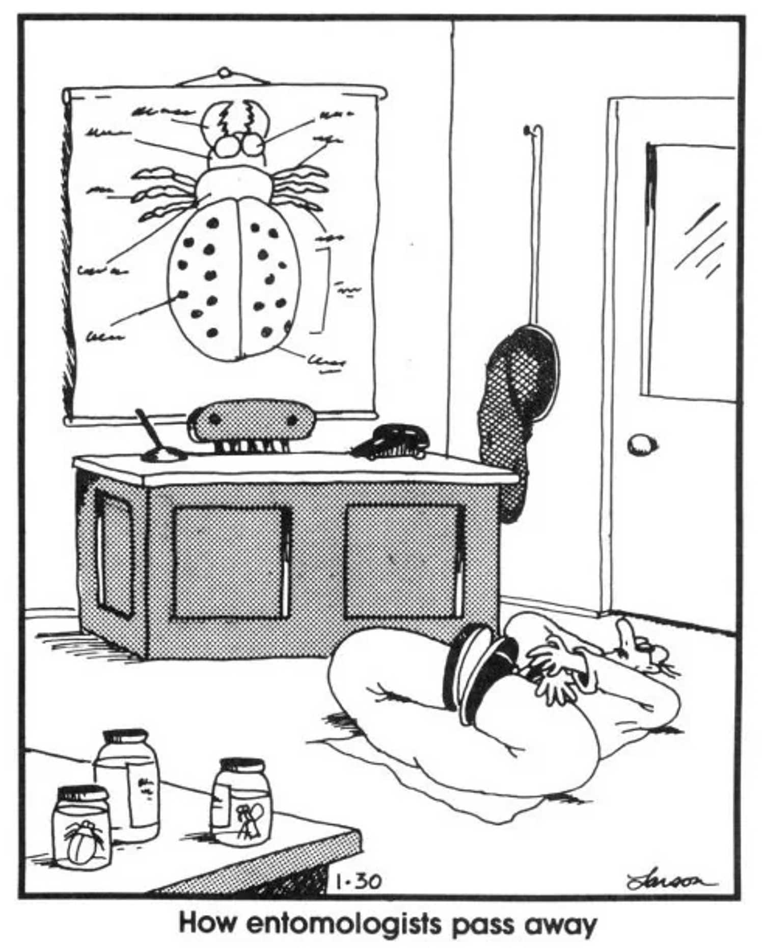 far side entomologists comic