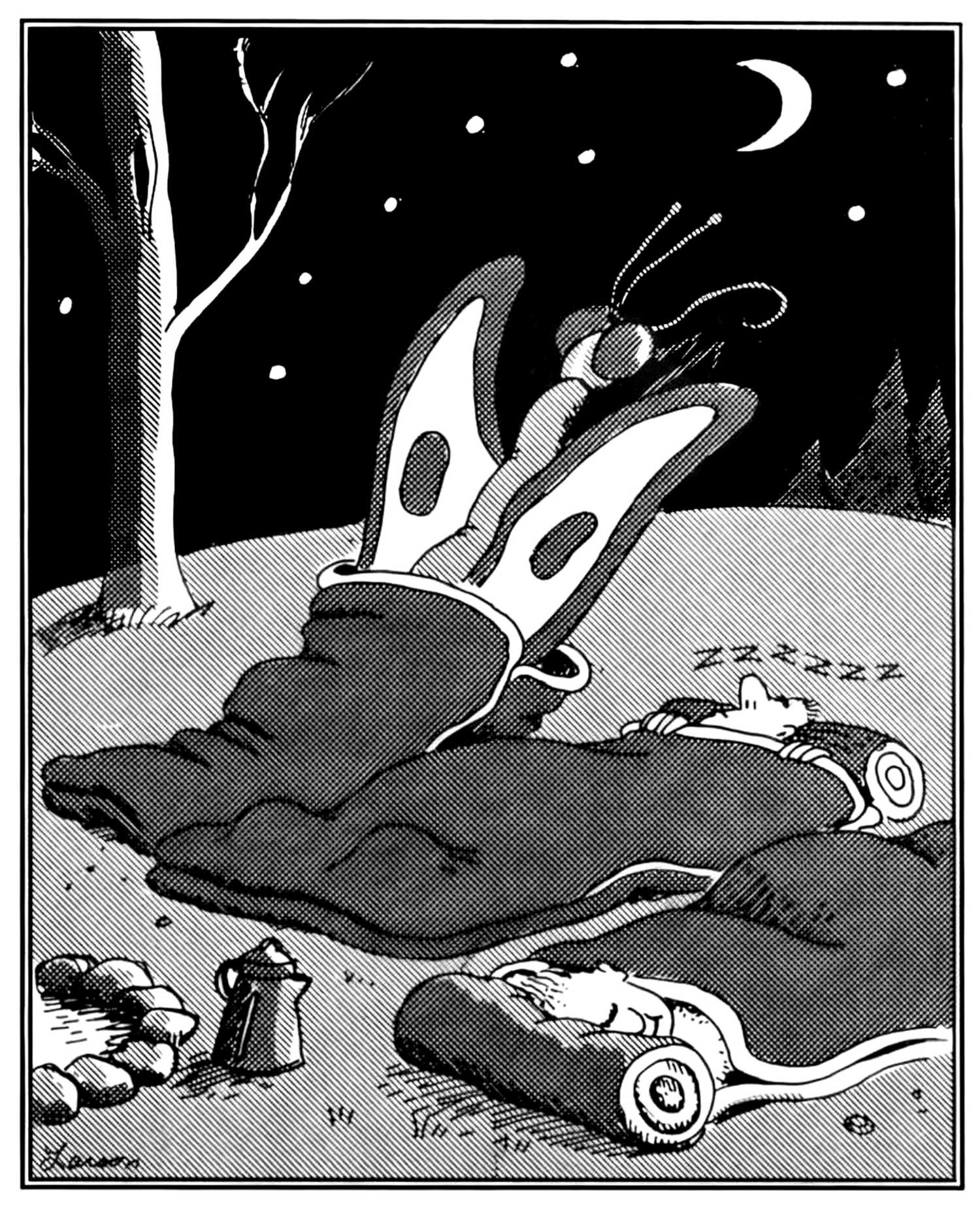 far side moth comic