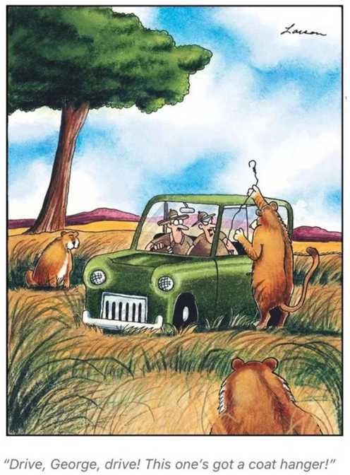 far side's smart lions 3