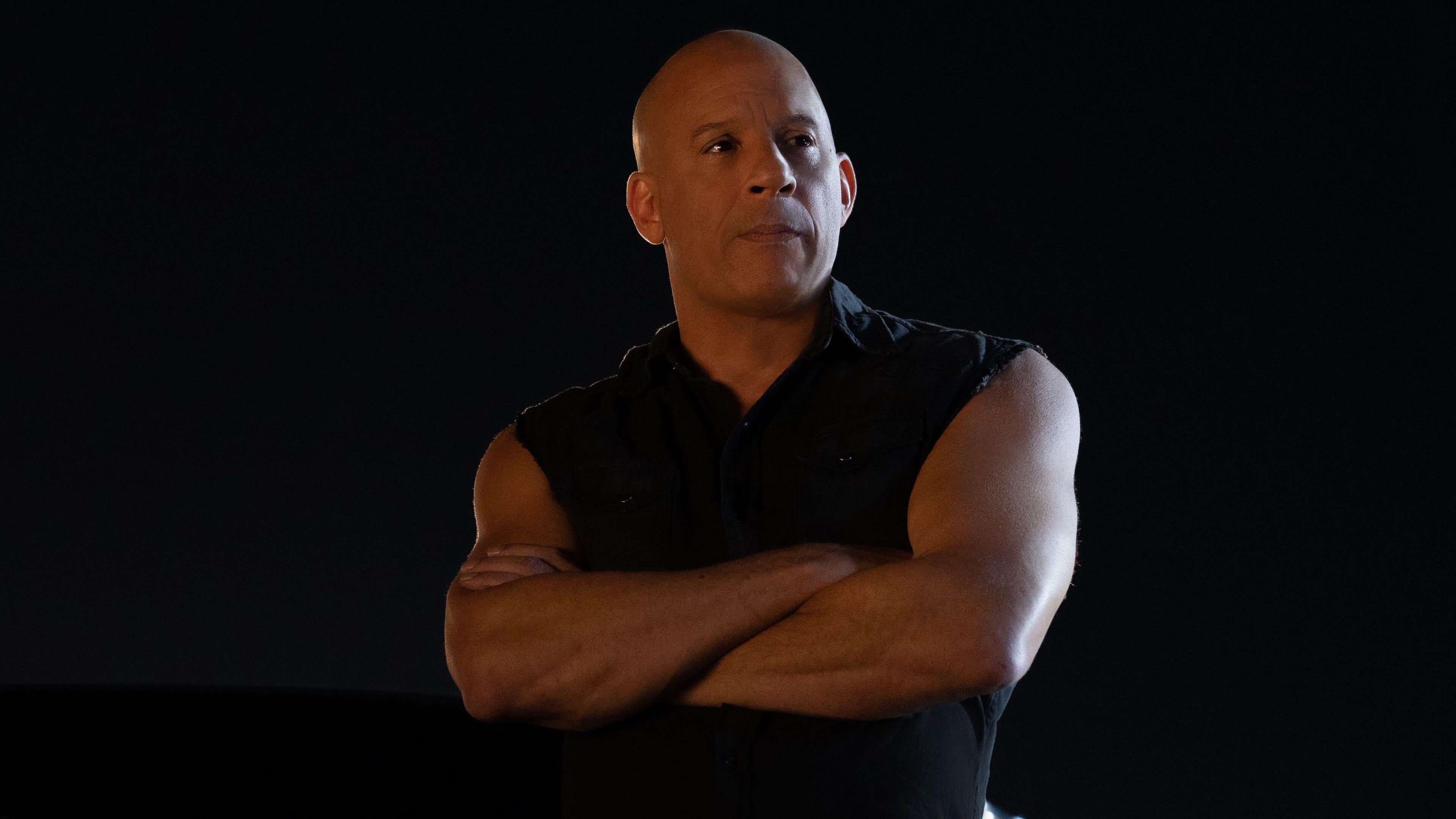 Vin Diesel Confirms Fast & Furious 11 Is The End Of An Era image
