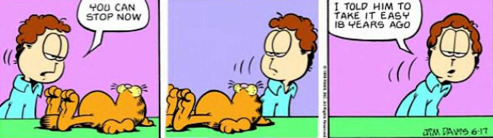 Garfield, June 17, 1996, Jon can't get Garfield to be more active