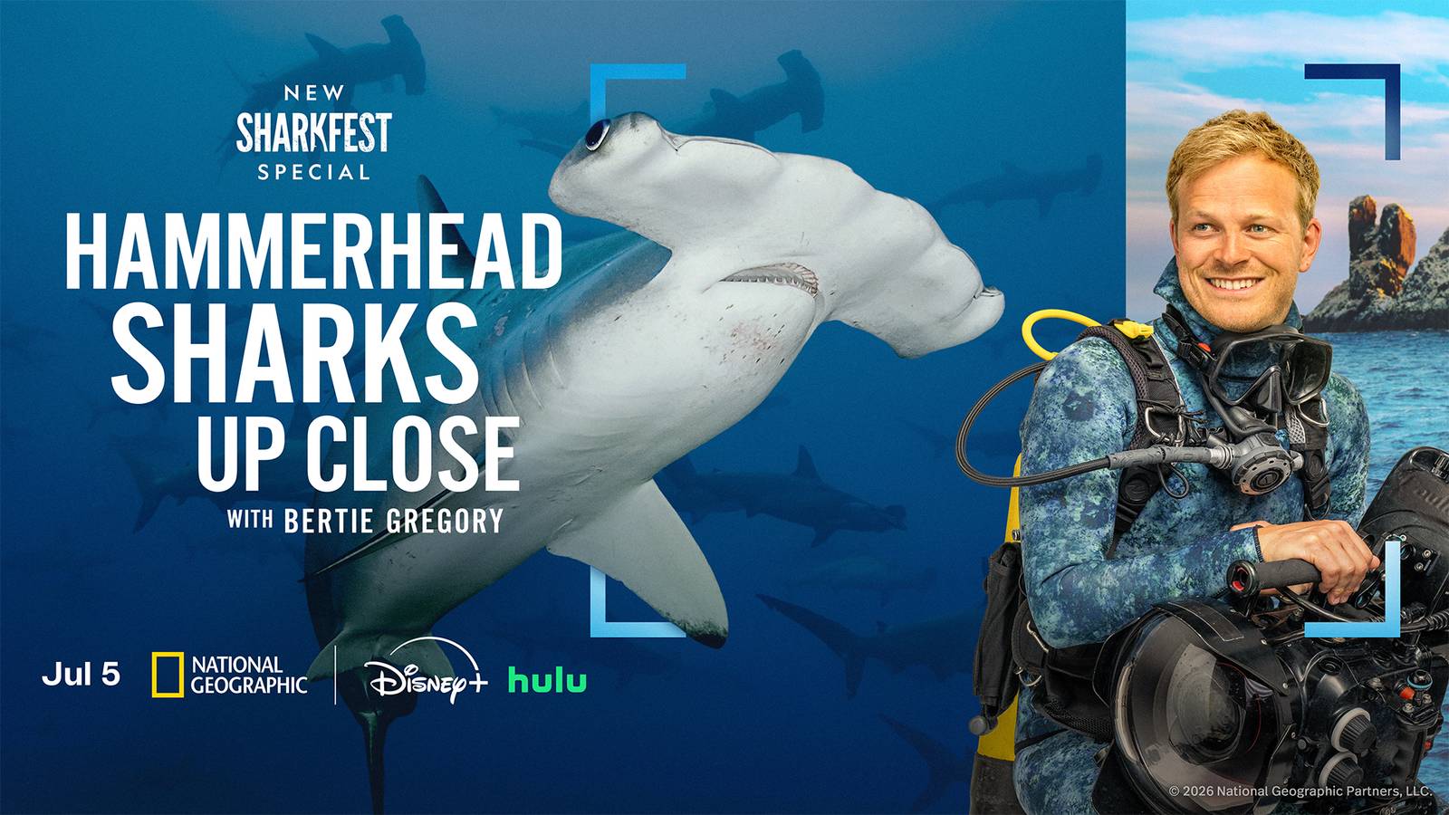 A Predator Surfaces In Hammerhead Sharks Up Close with Bertie Gregory Clip