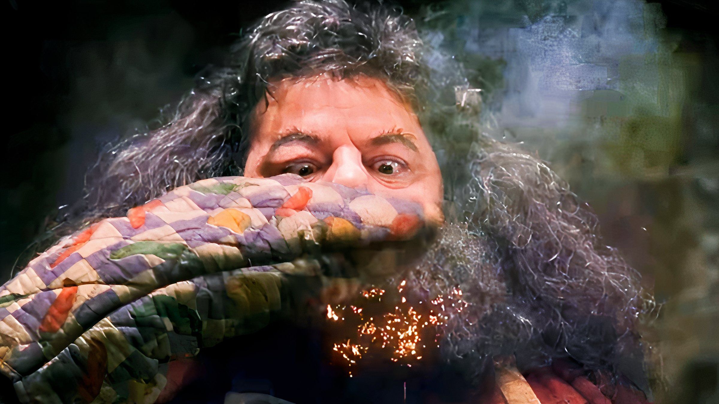 Harry Potter Hagrid beard on fire Norbert scene