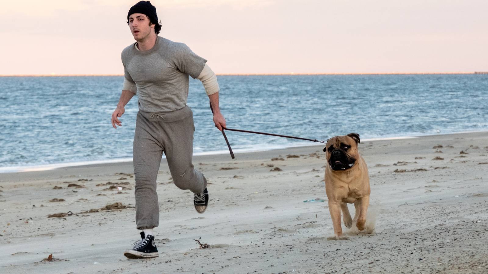 TIFF 2026 15 Movies At The Toronto International Film Festival We Cant Wait To See