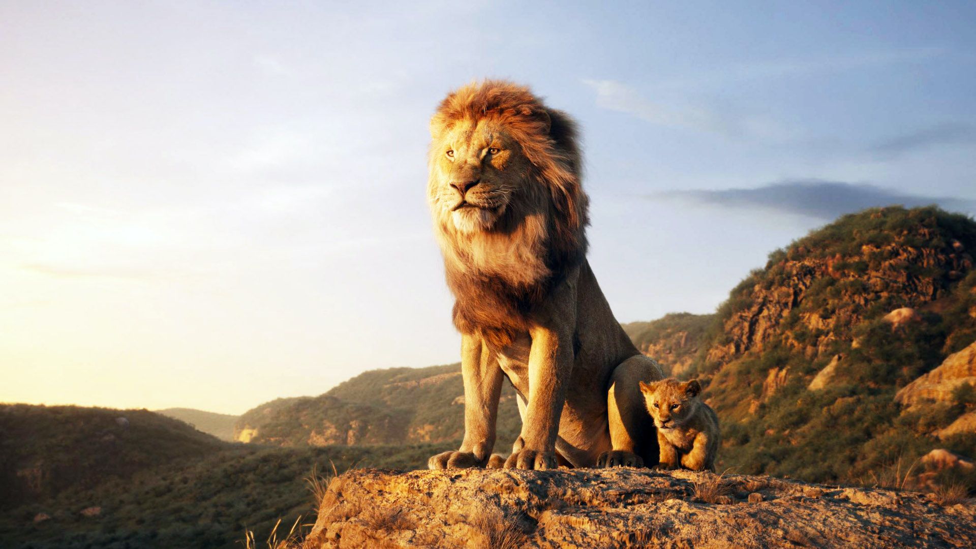 Jon Favreau’s New Lion Series Releases On Hulu Next Month After $1.6 Billion Lion King Remake image