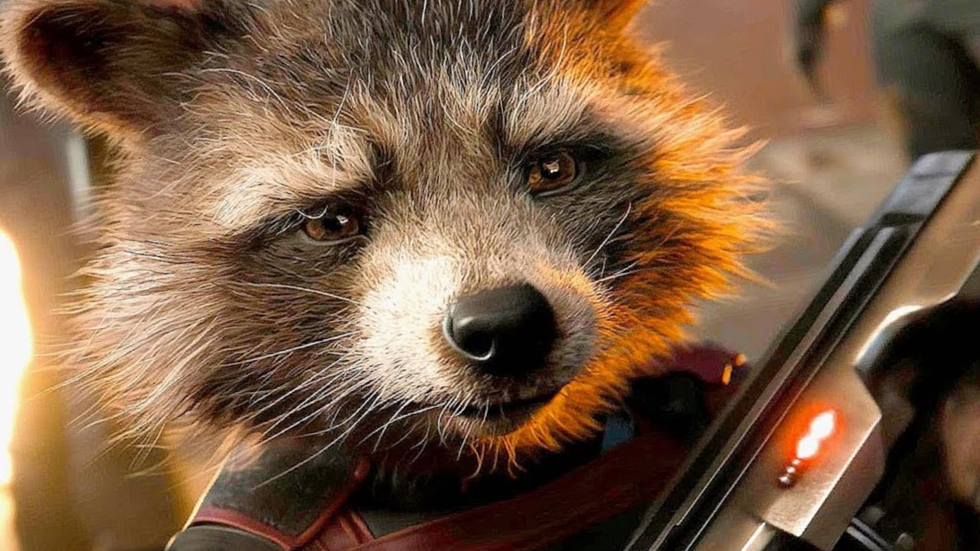 Marvel Officially Confirms Rocket Racoon Return, But No Guardians of the Galaxy