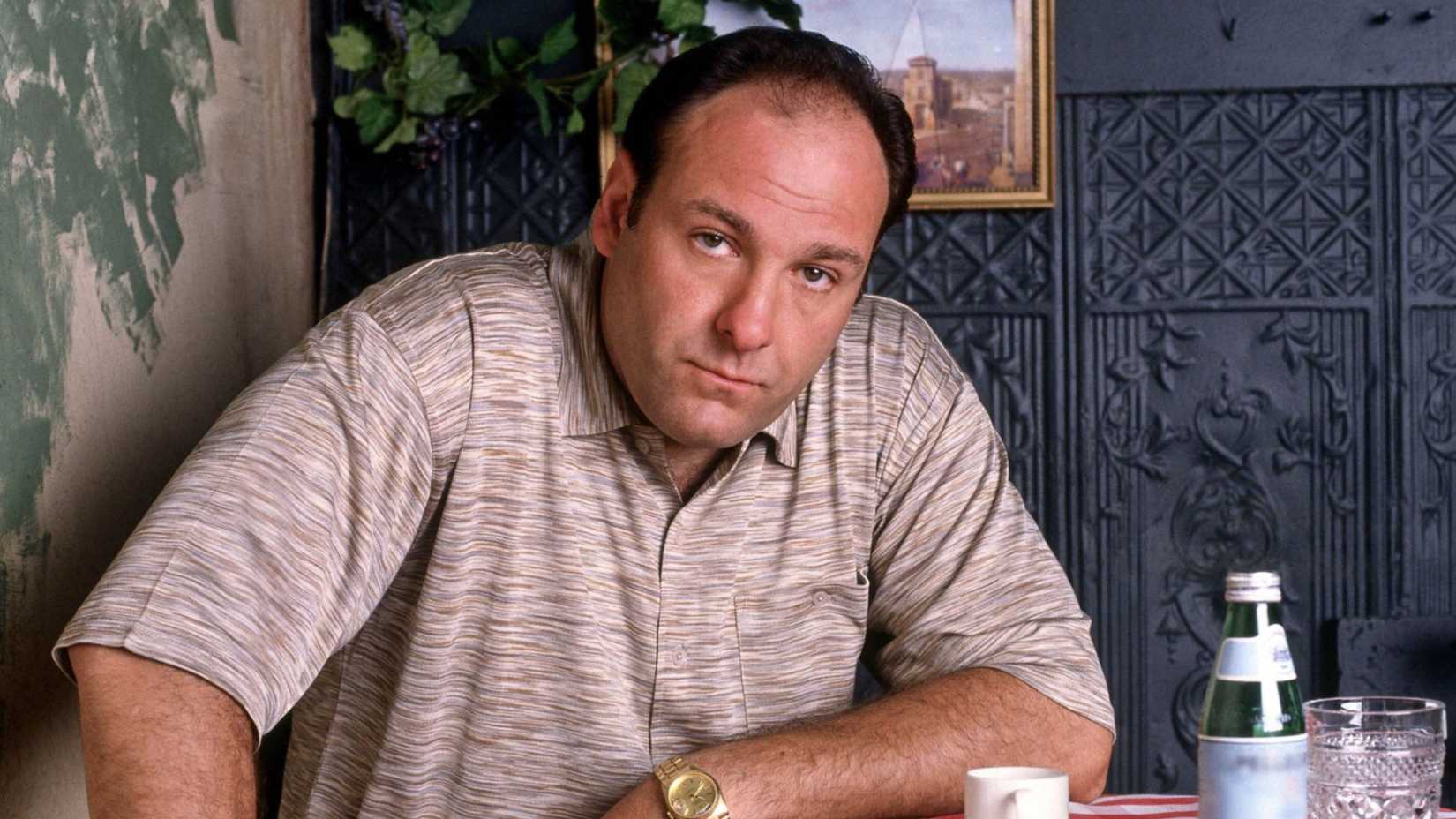 James Gandolfini in The Sopranos