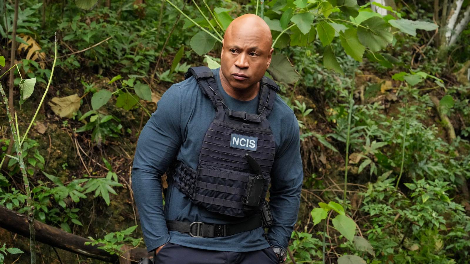 NCIS: New York Star Teases Spinoff’s Story & Potential Franchise Crossovers NCIS: New York Star Teases Spinoff’s Story & Potential Franchise Crossovers