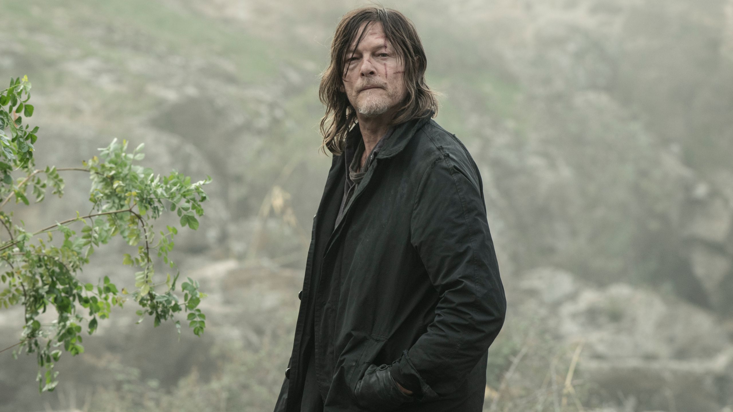 The Walking Dead Officially Replaces Norman Reedus' Daryl Dixon image