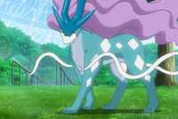 Goh's Suicune from the Pokémon anime walks on grass.