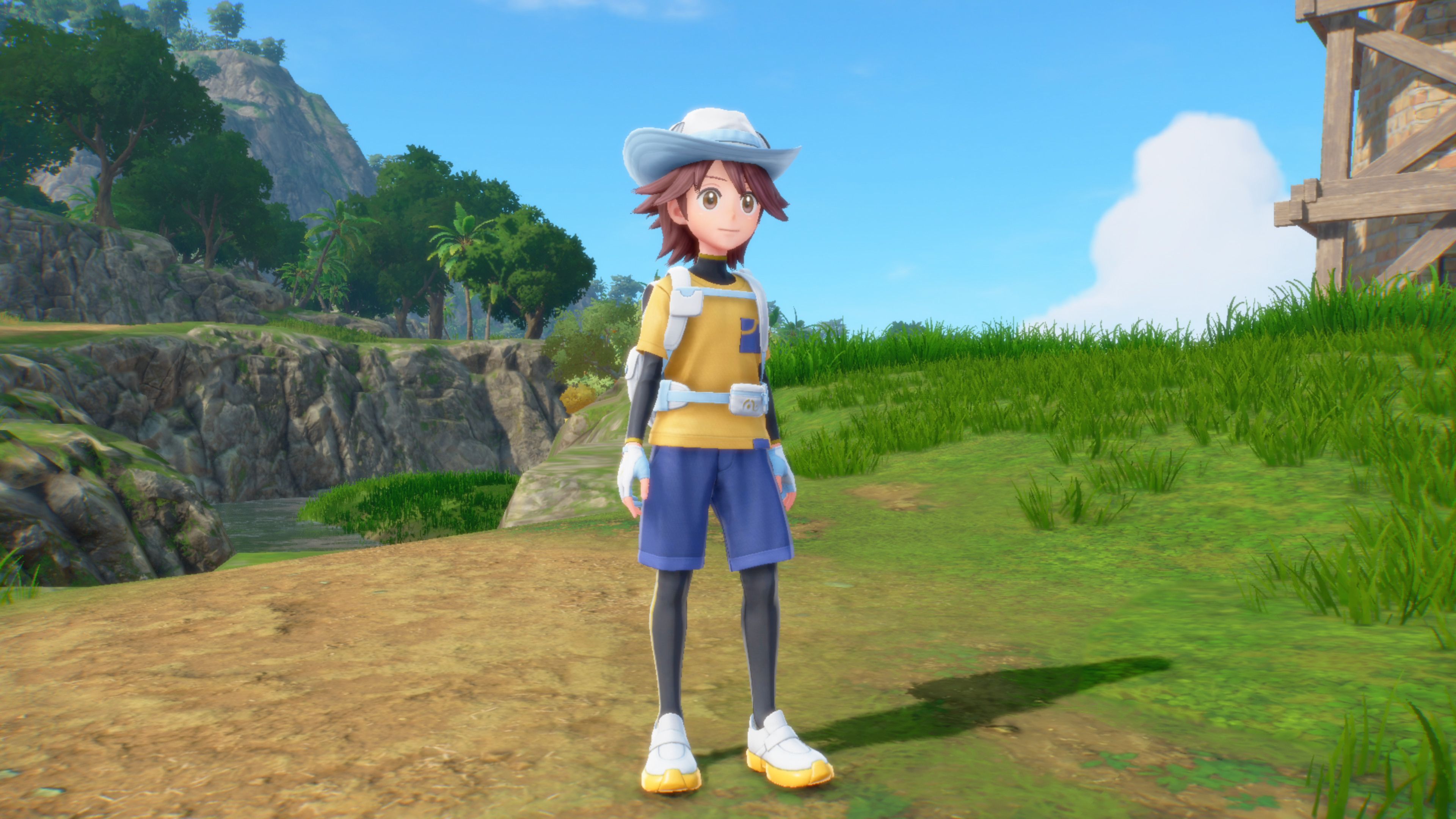Pokémon Winds & Waves Release Date Delay Praised By Gamers image