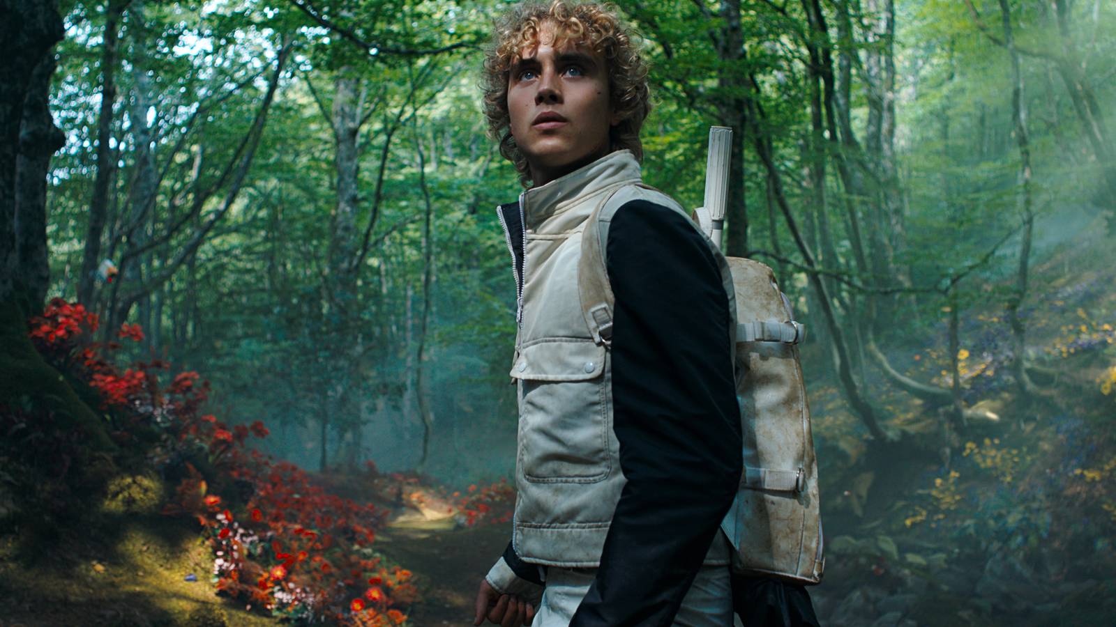 The Brutal Truth Behind Haymitch's Hunger Games Revealed In New Sunrise On The Reaping Trailer