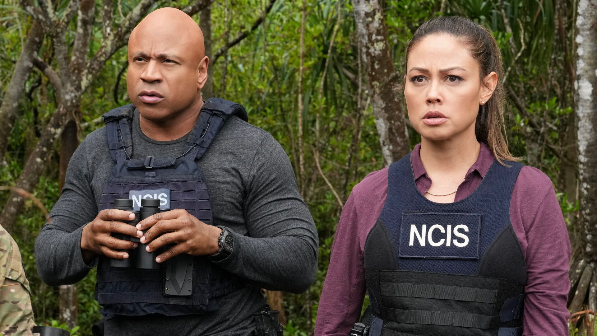 NCIS’s Divisive New Series Gets Worse With 14-Season Veteran Comeback image