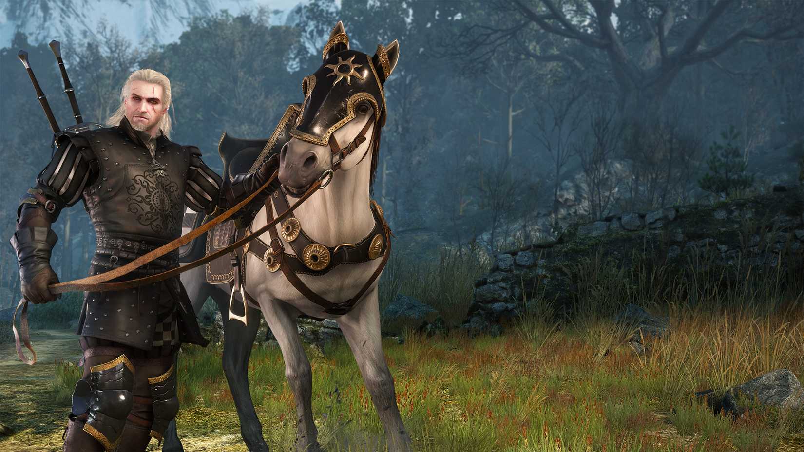 סט השריון של Witcher 3 Nilfgaardian