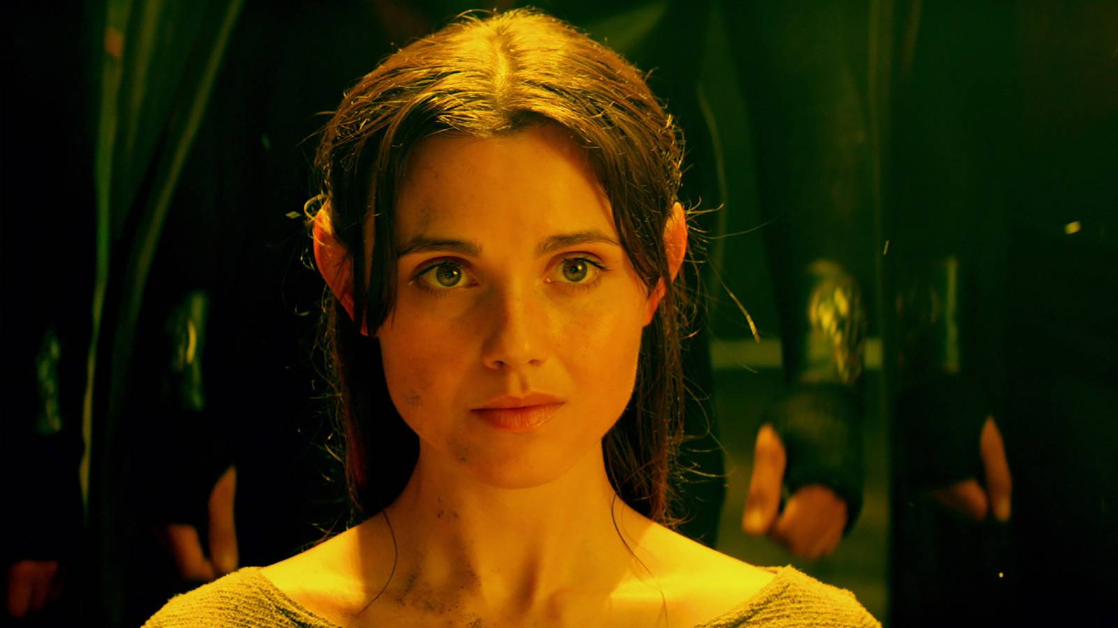20-Part Fantasy Series That's Lord Of The Rings Meets The Witcher Launched An Oscar Nominee's Career
