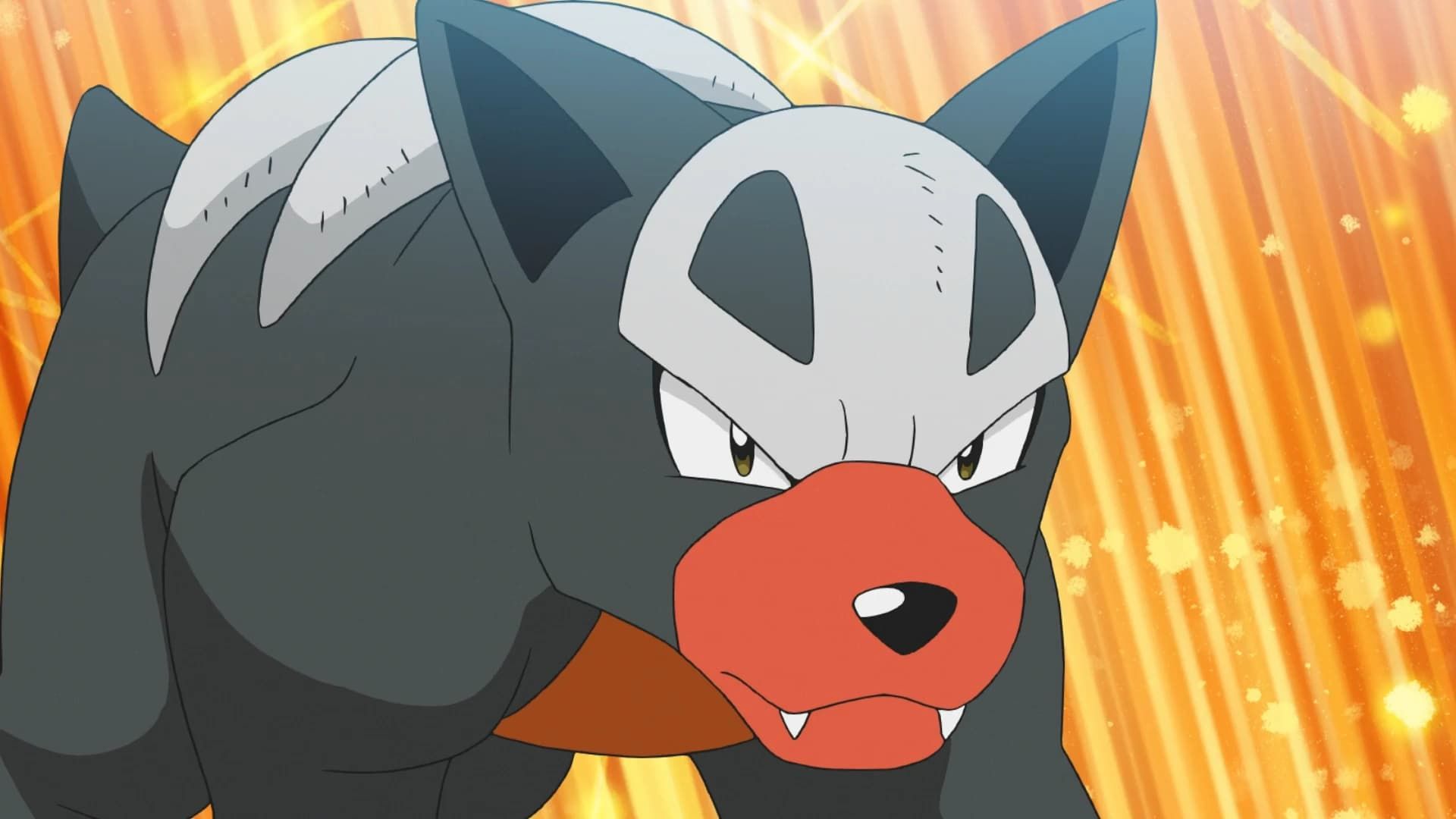 Pokémon Winds & Waves New Houndour Evolution Is A Hit With Fans image