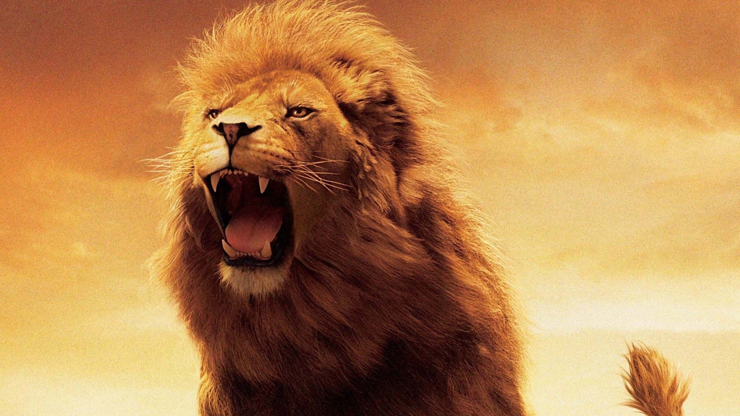 Netflix’s 7-Part Fantasy Epic Is Guaranteed To Break A Streaming Record image