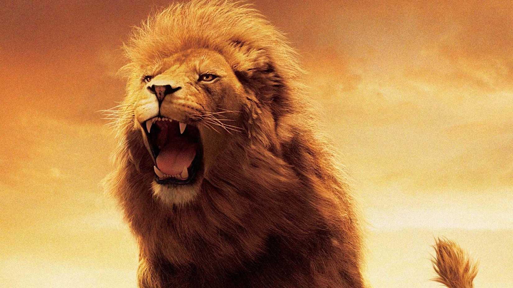 Aslan roaring in The Chronicles of Narnia: The Lion, the Witch and the Wardrobe (2005)