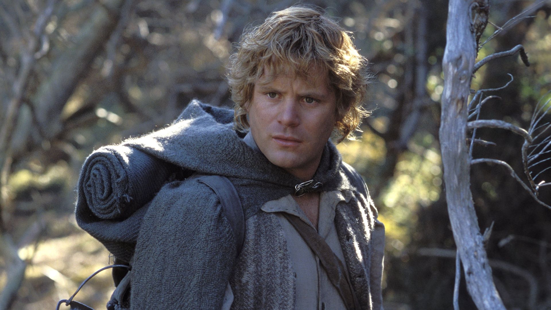 24 Years Later, Sam's Best Line Is Still The Greatest Quote In The Lord Of The Rings image