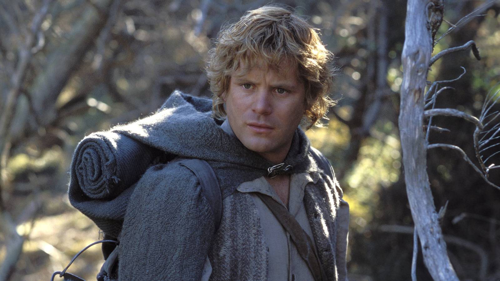 24 Years Later, Sam's Best Line Is Still The Greatest Quote In The Lord Of The Rings