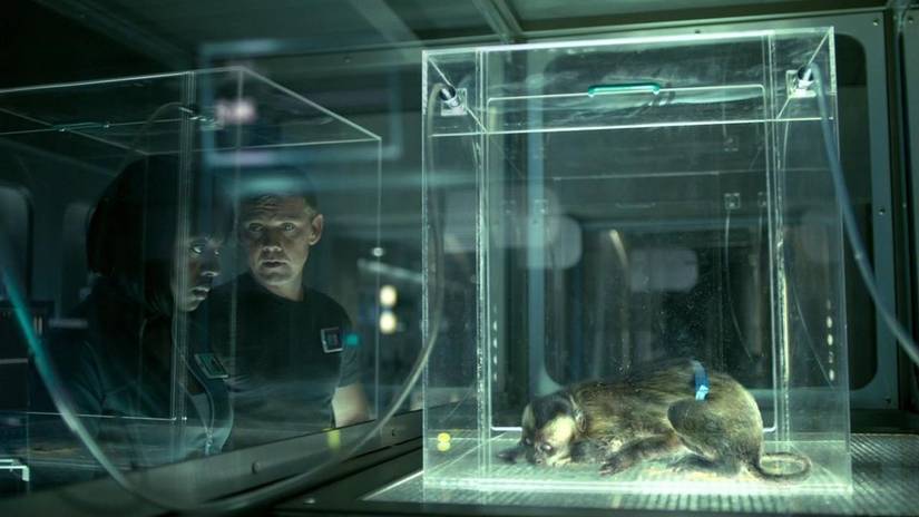 Two characters looking at a dying animal in a glass box in The Andromeda Strain.