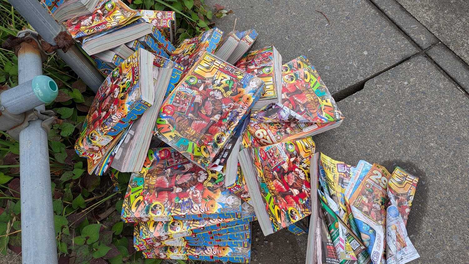 Weekly Shonen Jump #33 Featuring One Piece TGC Card Thrown In Japan