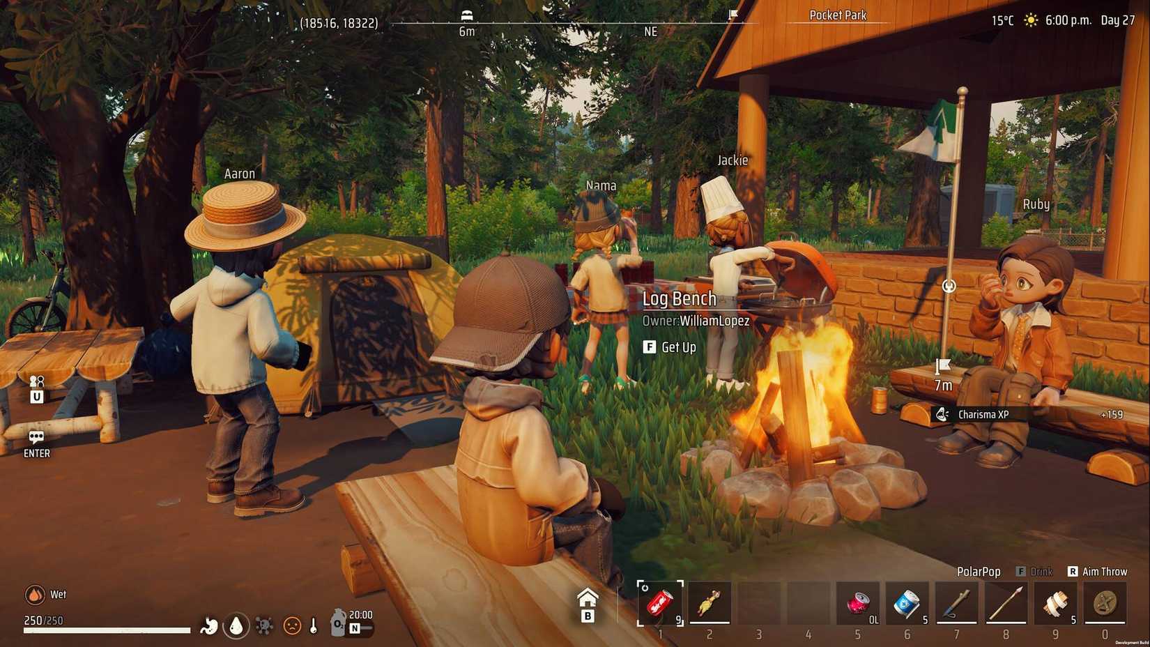 The player and various NPCs gathered around a campfire in Zeverland.