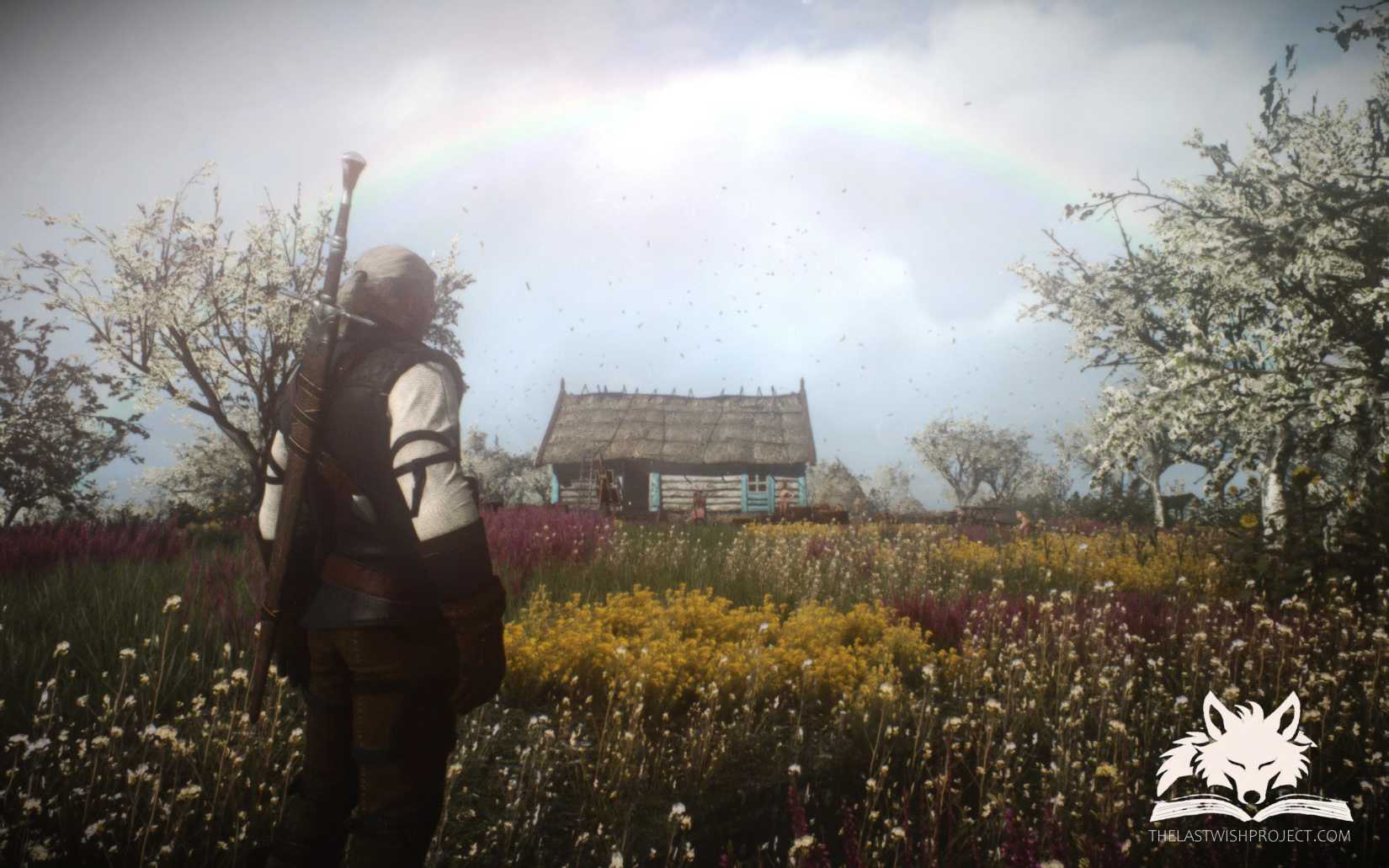 Image shows gameplay from The Witcher 3: The Last Wish mod