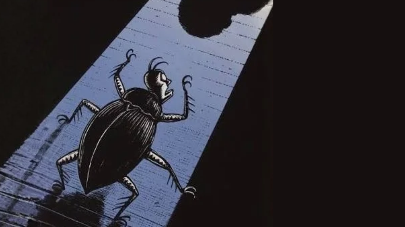 The Metamorphosis by Peter Kuper