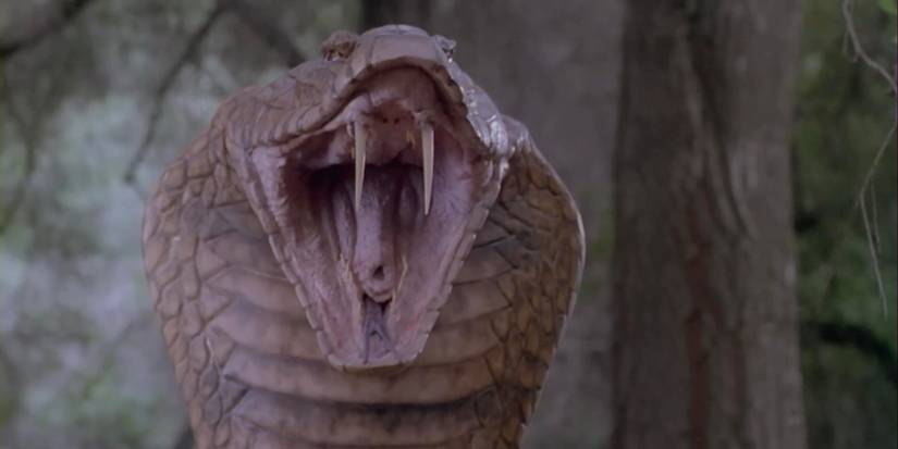 10 Greatest Snake Thriller Movies Of All Time, Ranked