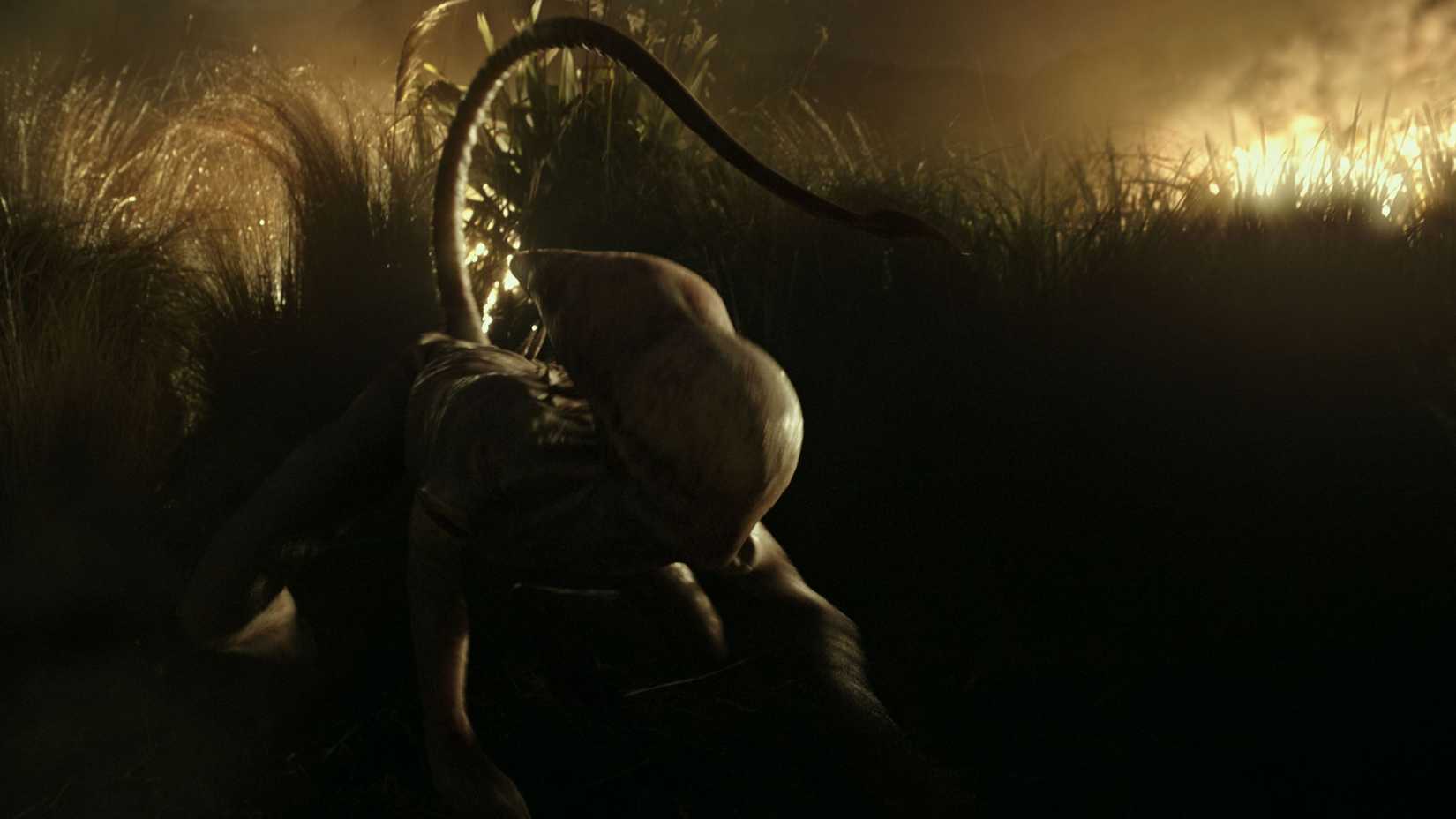 The Neomorph running through a field in Alien: Covenant.