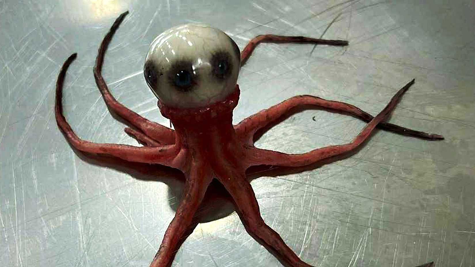 A pre-production image of the eyeball monster in Alien: Earth.