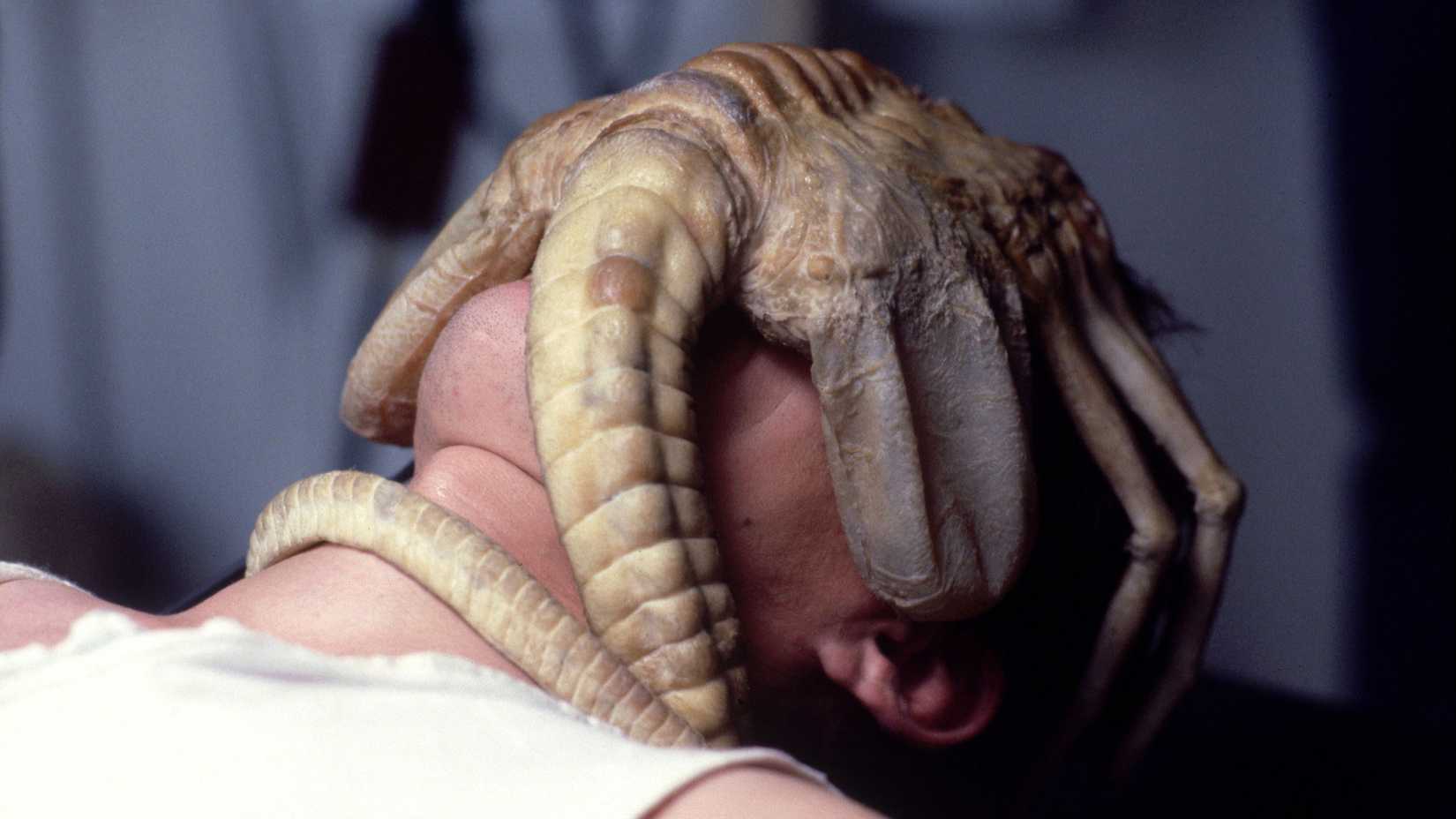 A facehugger attached to Kane (John Hurt) in Alien.