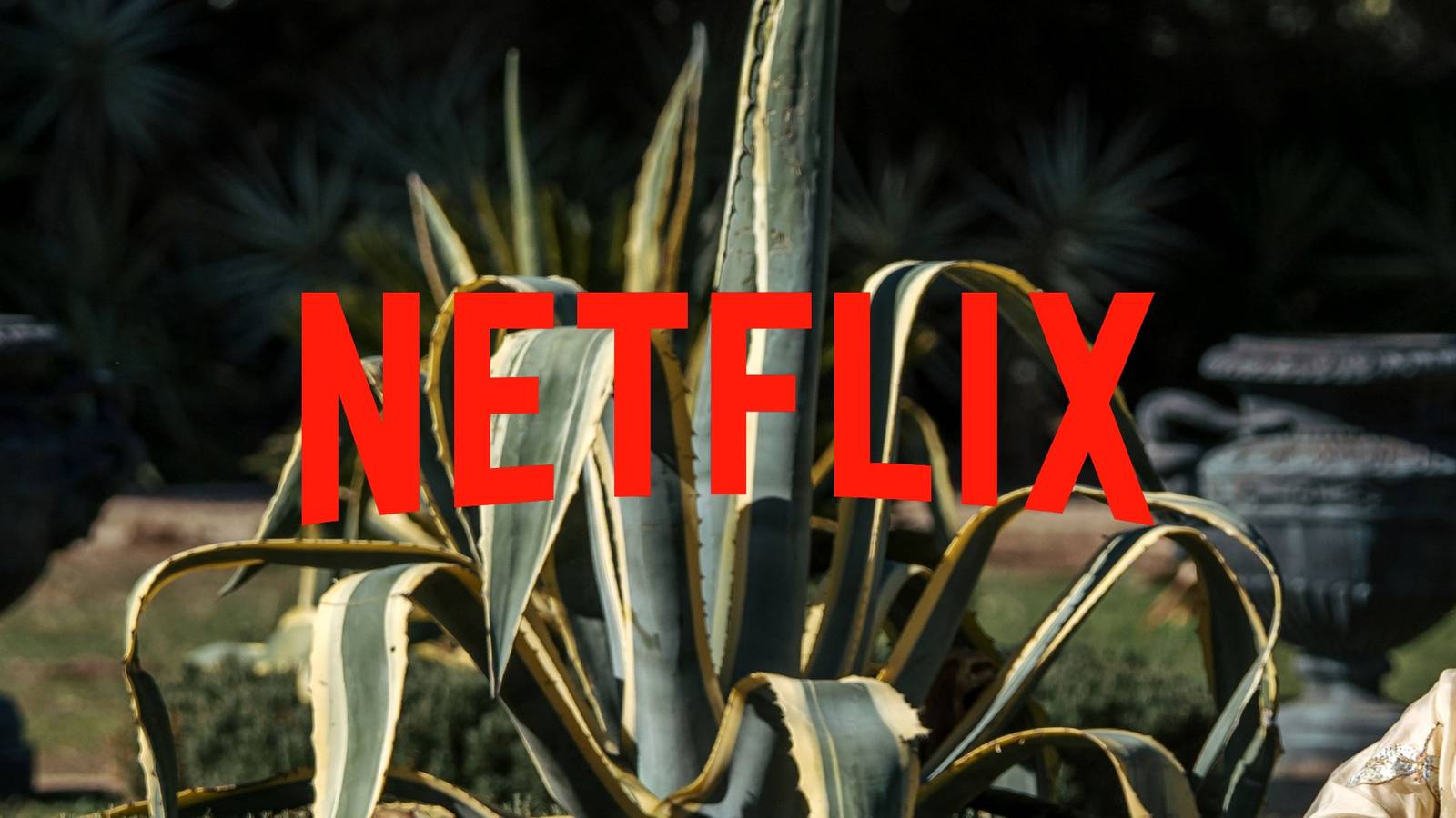 My Brilliant Career Debuts at #4 on Netflix's Top 10 with 3.1 Million Views