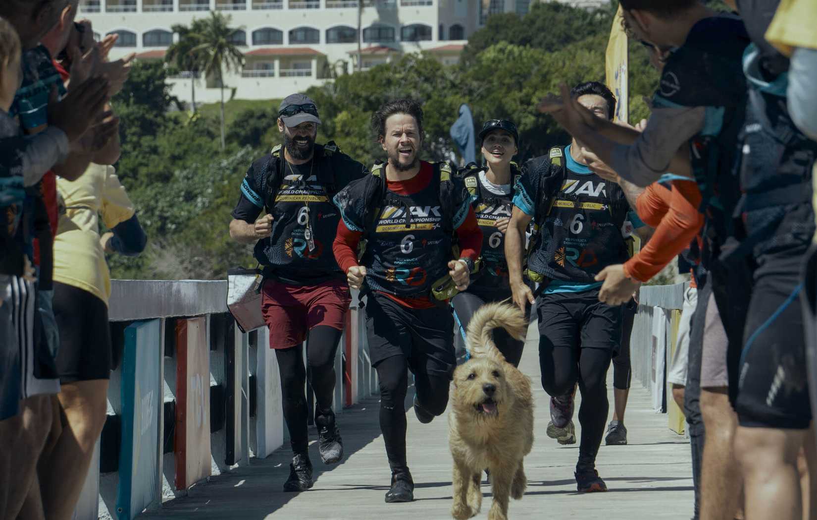 A dog runs infront of a group of four runners during a race in Arthur the King