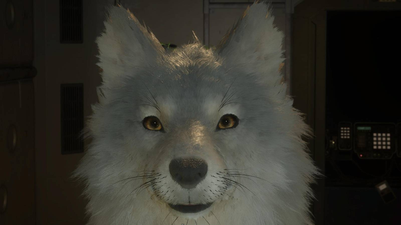 beast of reincarnation koo closeup