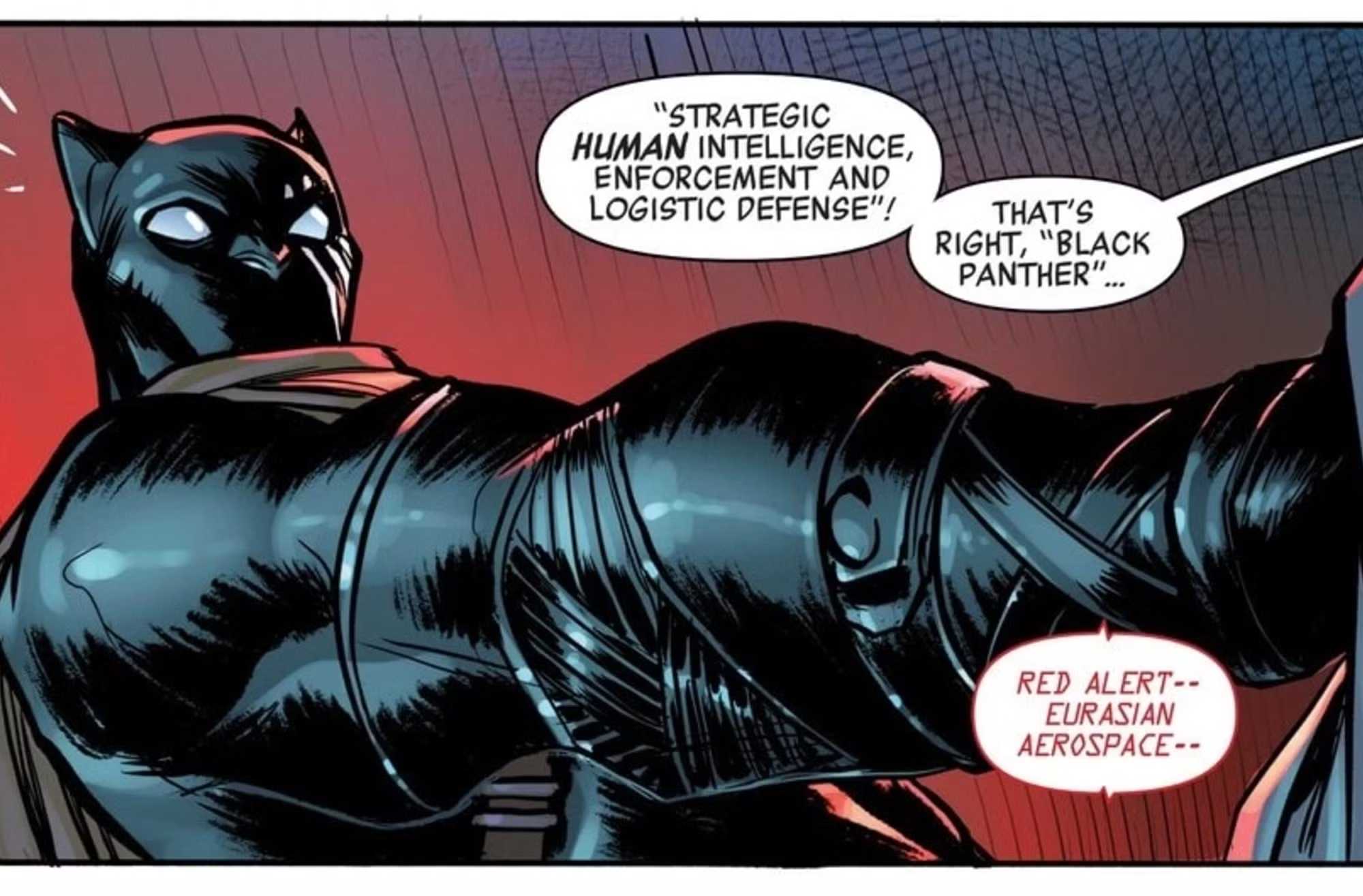 black panther questions nick fury 2-1