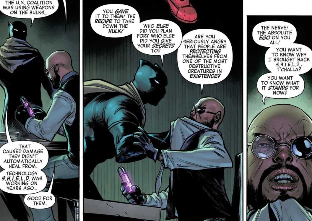 black panther questions nick fury
