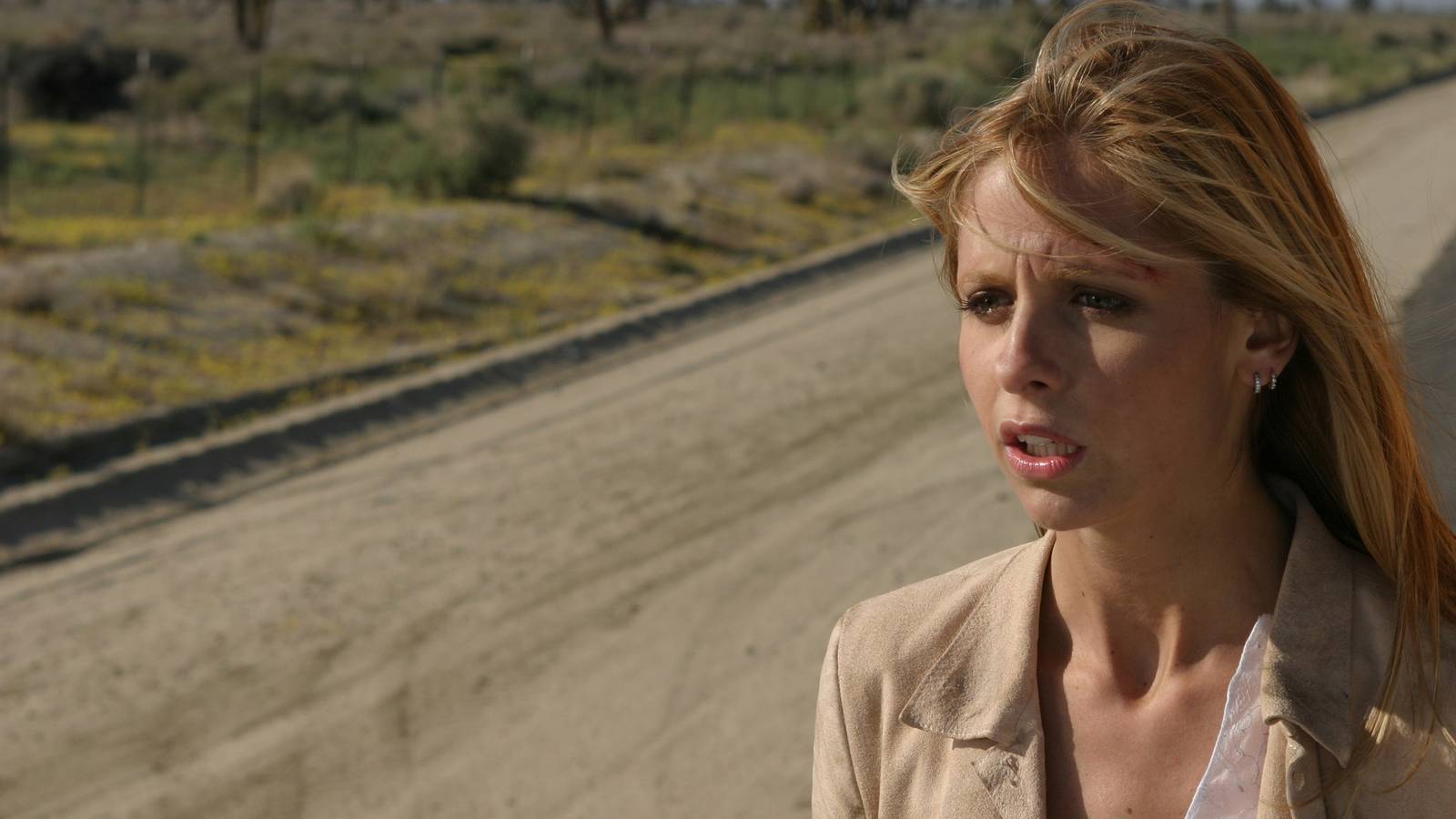 Still of Sarah Michelle Gellar as Buffy Summers in Buffy The Vampire Slayer season 7 episode 22.
