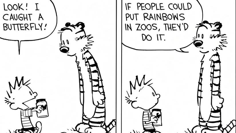 Calvin and Hobbes discuss catching a butterfly
