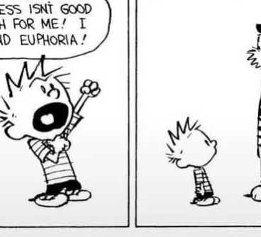 Calvin and Hobbes happiness