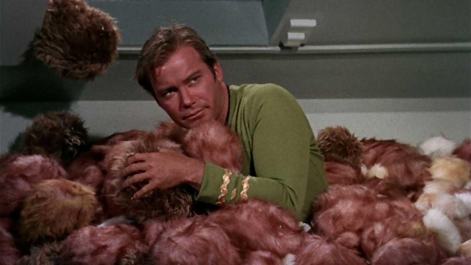 Captain Kirk drowning in Tribbles