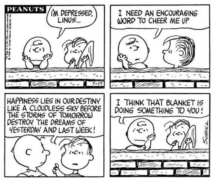 Charlie Brown and Linus in Peanuts' Happiness lies in our destiny comic strip