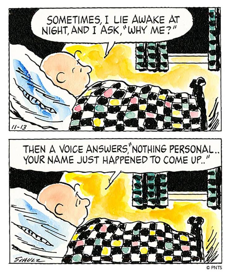 Charlie Brown November 13, 1993 comic strip