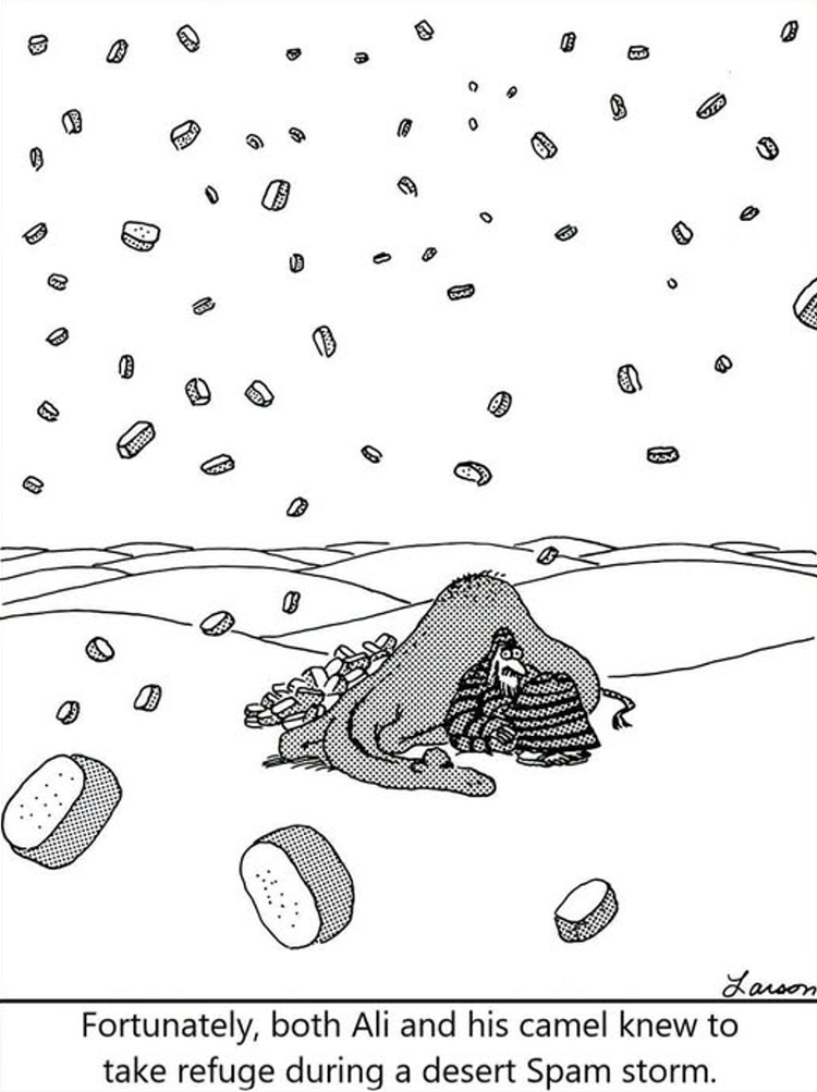 Desert Spam Storm, The Far Side