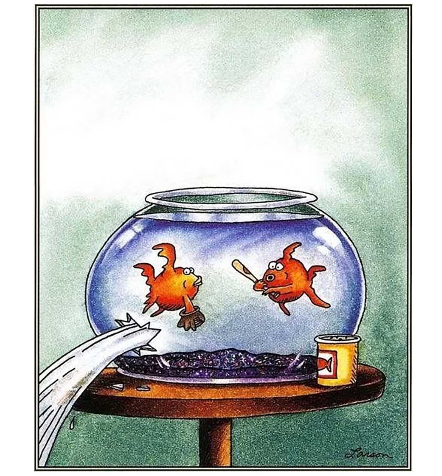 far side goldfish comic